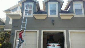 House Painting in Windermere, FL (2)